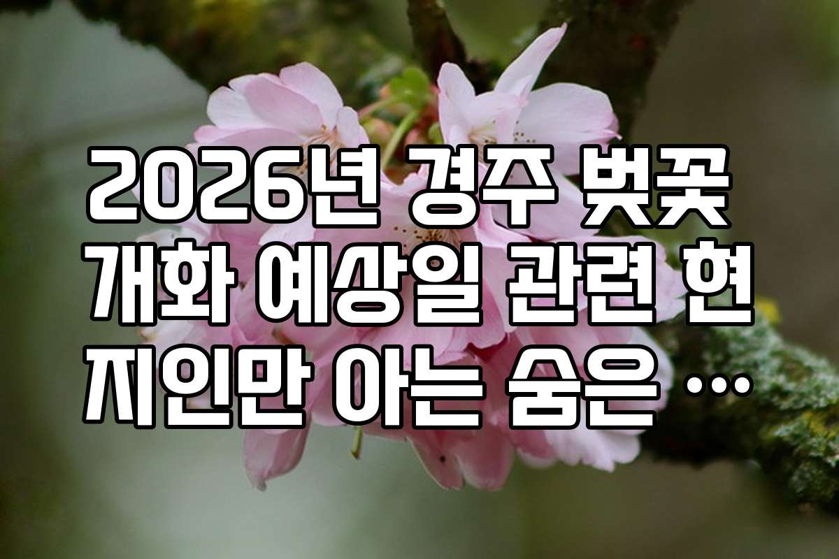 2026년 경주 벚꽃 개화 예상일 관련 현지인만 아는 숨은 명소