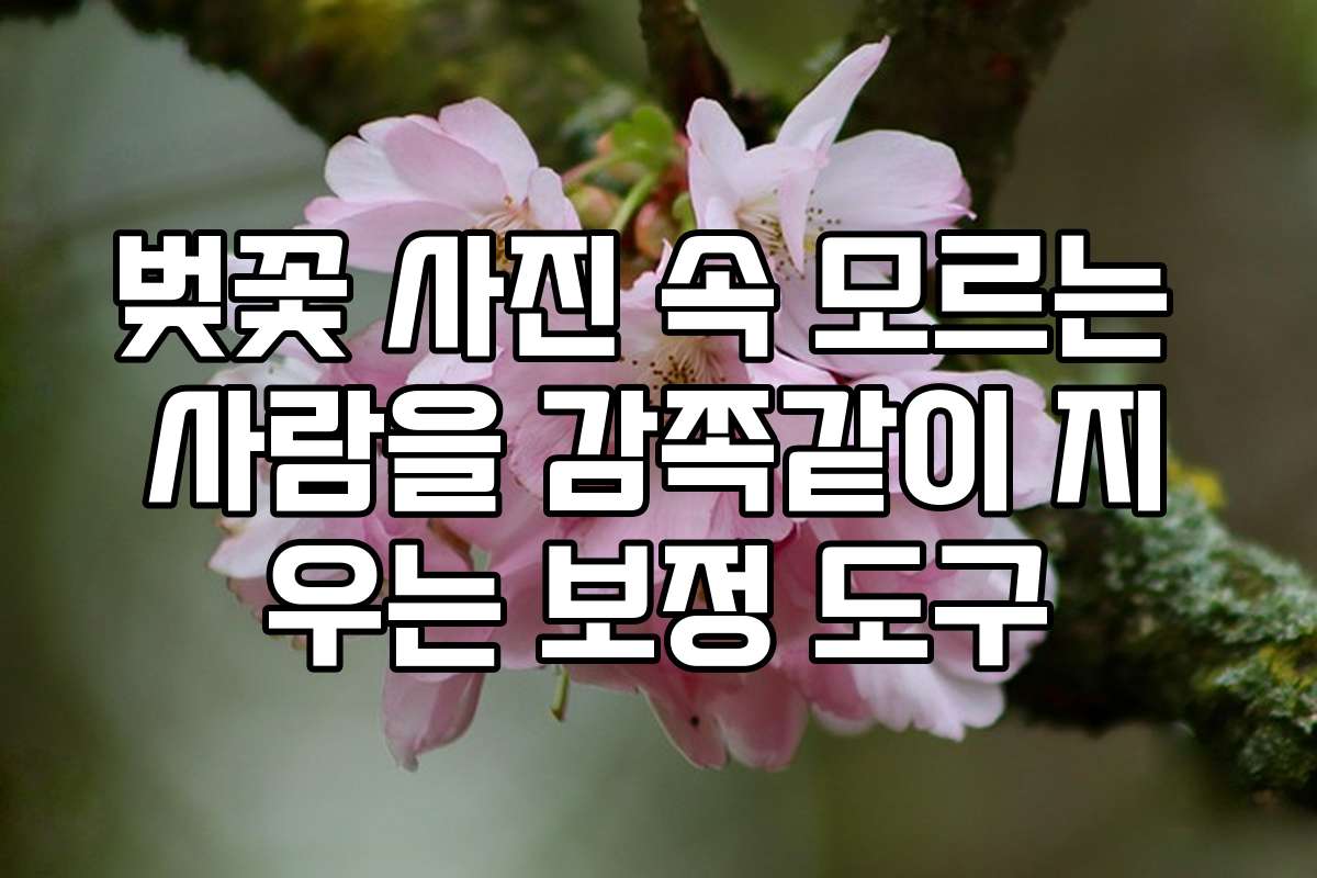 벚꽃 사진 속 모르는 사람을 감쪽같이 지우는 보정 도구