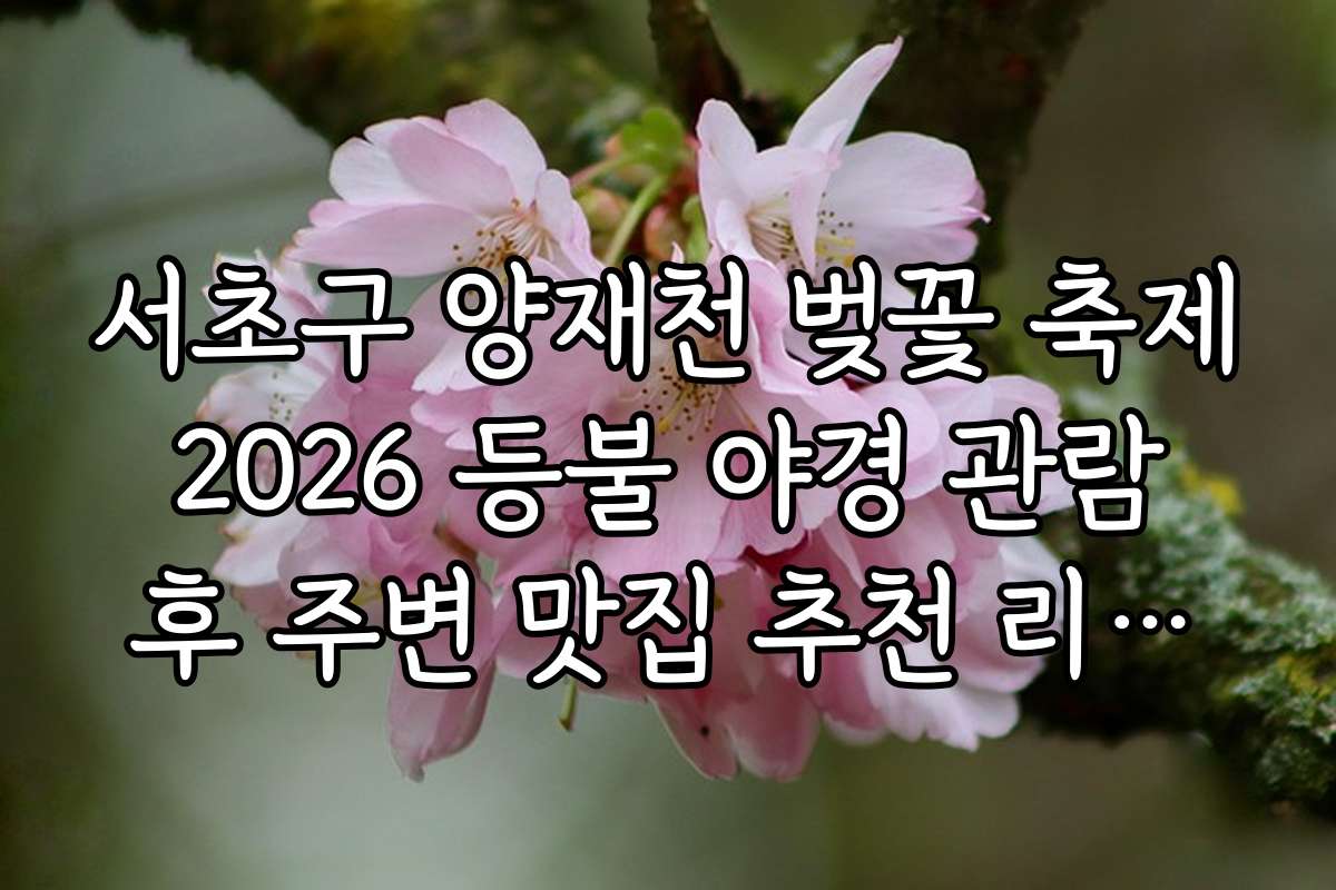 서초구 양재천 벚꽃 축제 2026 등불 야경 관람 후 주변 맛집 추천 리스트
