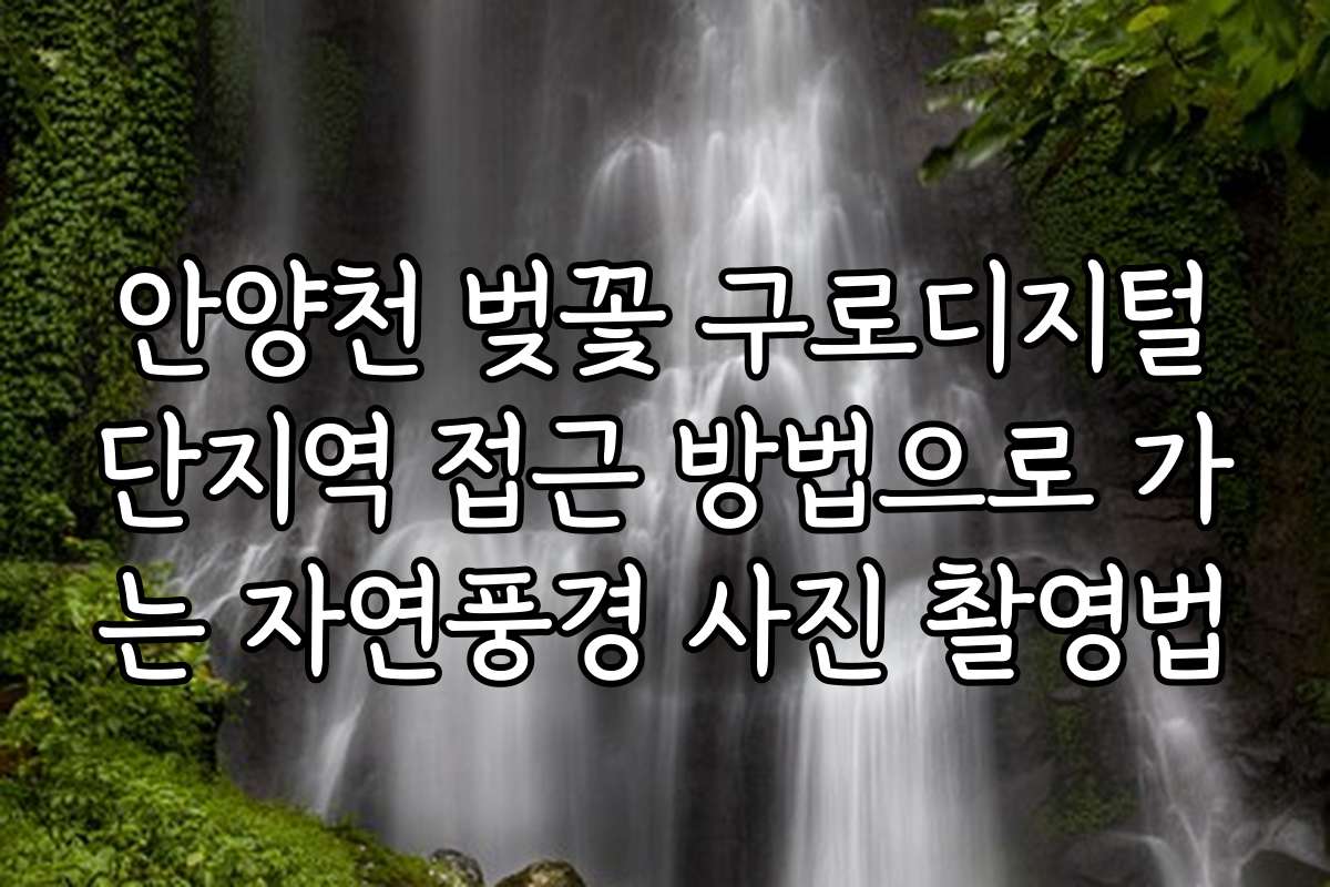 안양천 벚꽃 구로디지털단지역 접근 방법으로 가는 자연풍경 사진 촬영법