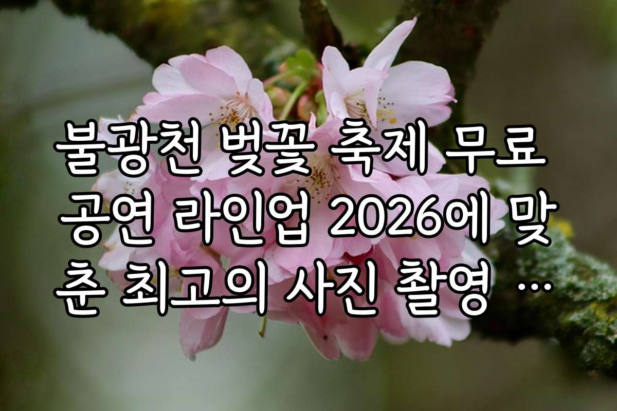 불광천 벚꽃 축제 무료 공연 라인업 2026에 맞춘 최고의 사진 촬영 장소와 포인트