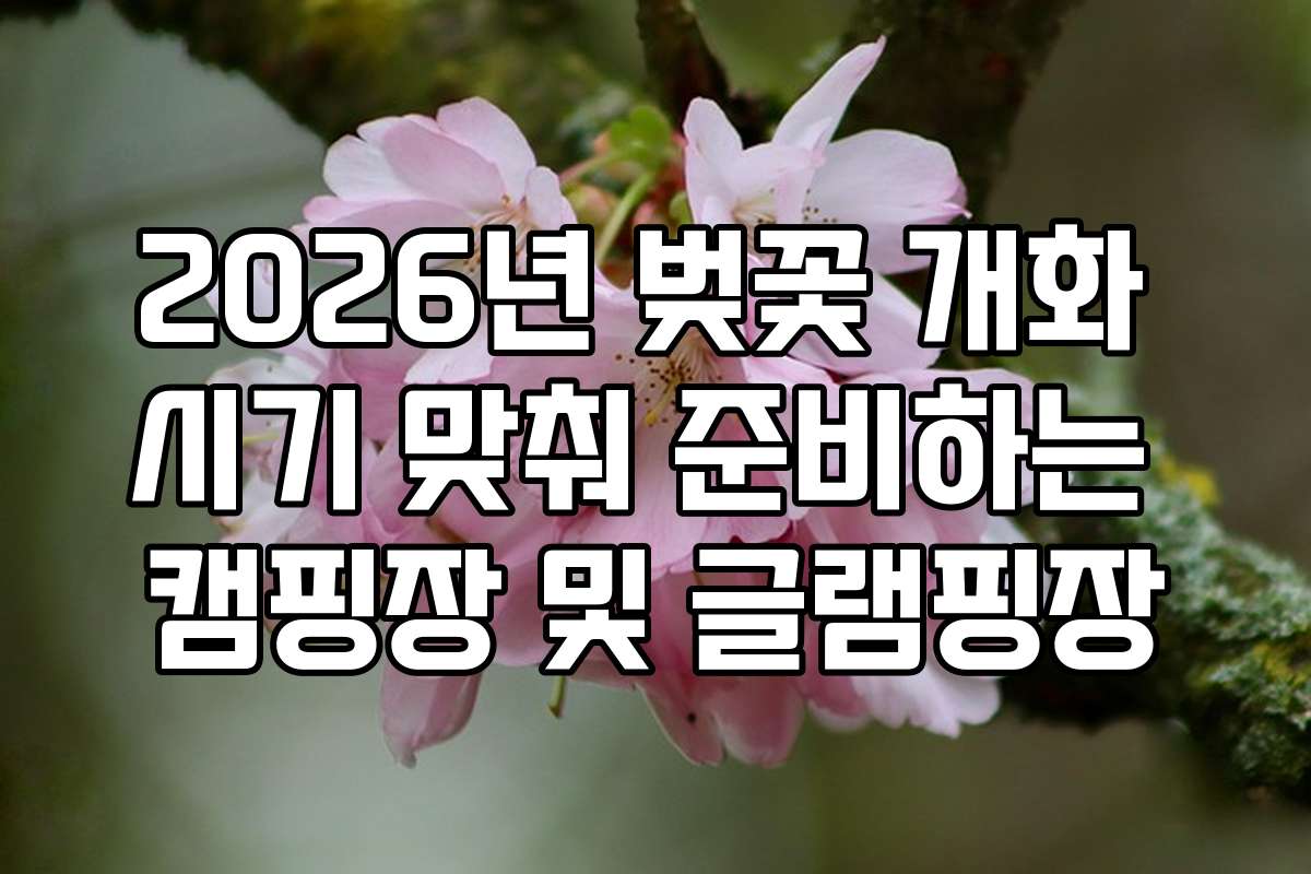 2026년 벚꽃 개화 시기 맞춰 준비하는 캠핑장 및 글램핑장