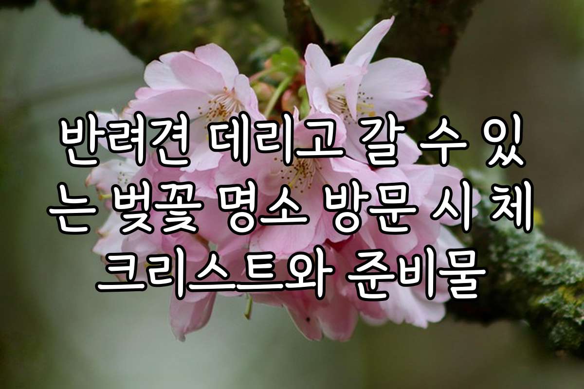 반려견 데리고 갈 수 있는 벚꽃 명소 방문 시 체크리스트와 준비물