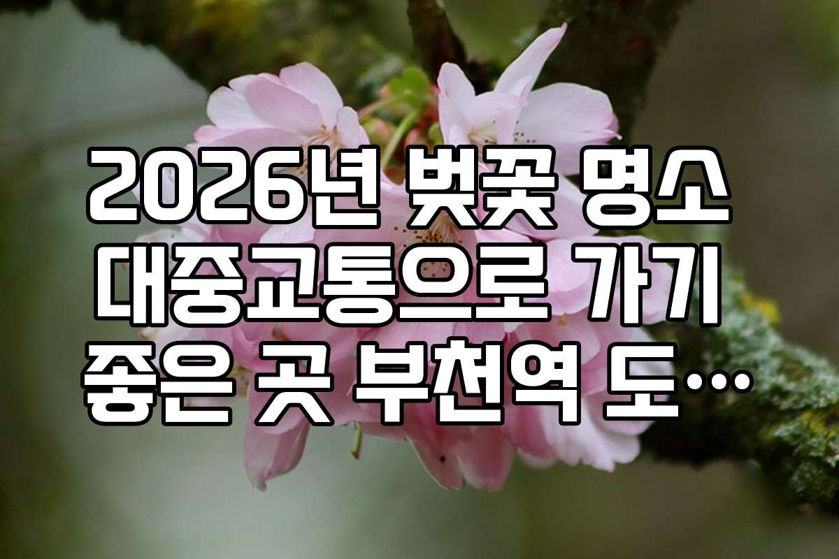 2026년 벚꽃 명소 대중교통으로 가기 좋은 곳 부천역 도당산 버스편