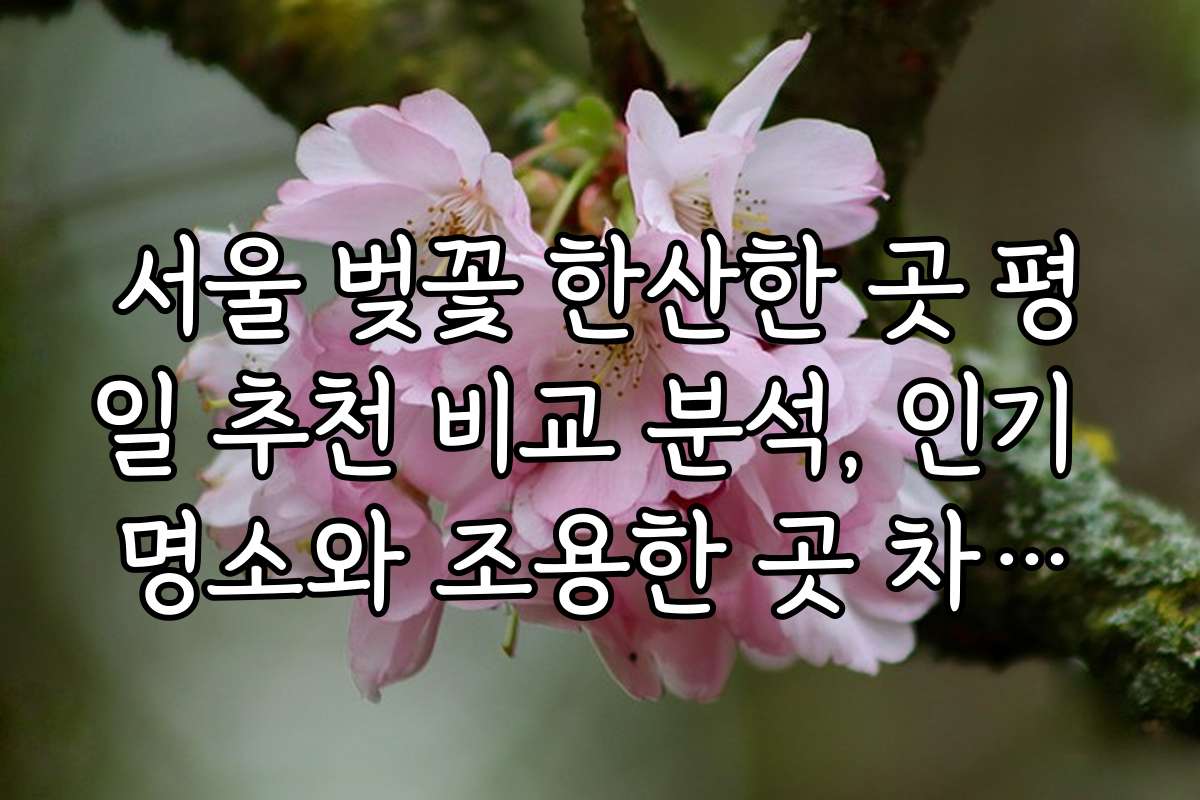 서울 벚꽃 한산한 곳 평일 추천 비교 분석, 인기 명소와 조용한 곳 차이점