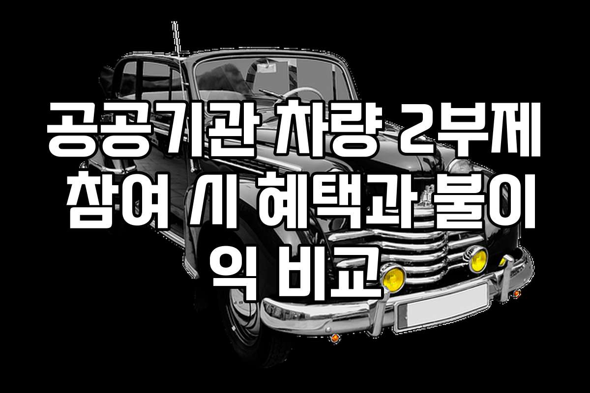 공공기관 차량 2부제 참여 시 혜택과 불이익 비교