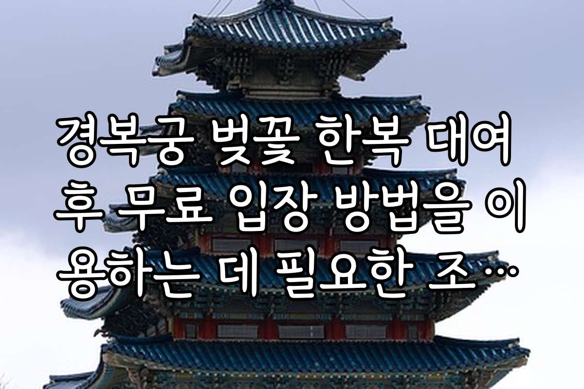 경복궁 벚꽃 한복 대여 후 무료 입장 방법을 이용하는 데 필요한 조건과 절차