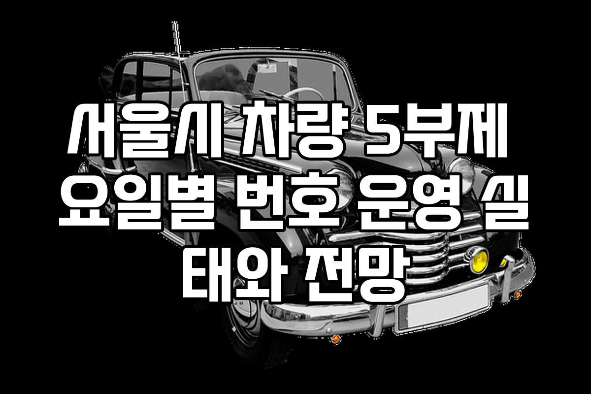 서울시 차량 5부제 요일별 번호 운영 실태와 전망