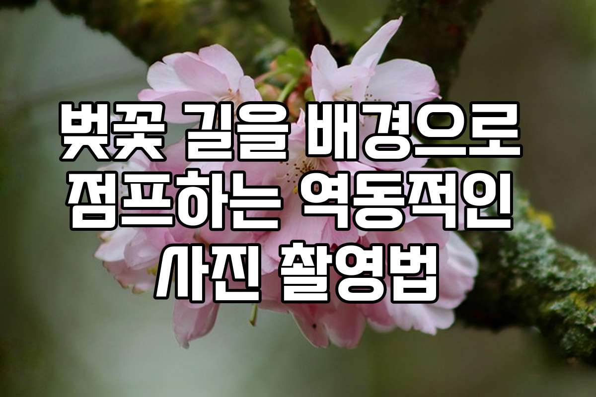 벚꽃 길을 배경으로 점프하는 역동적인 사진 촬영법