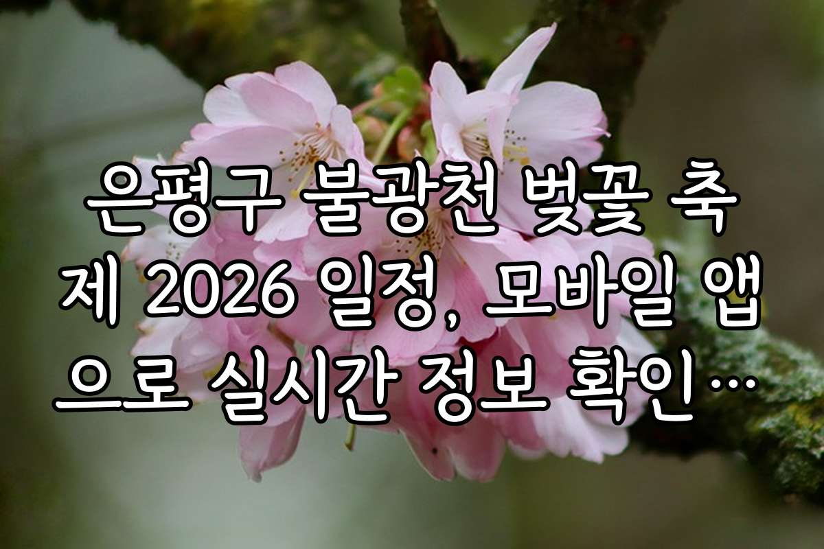 은평구 불광천 벚꽃 축제 2026 일정, 모바일 앱으로 실시간 정보 확인하는 법
