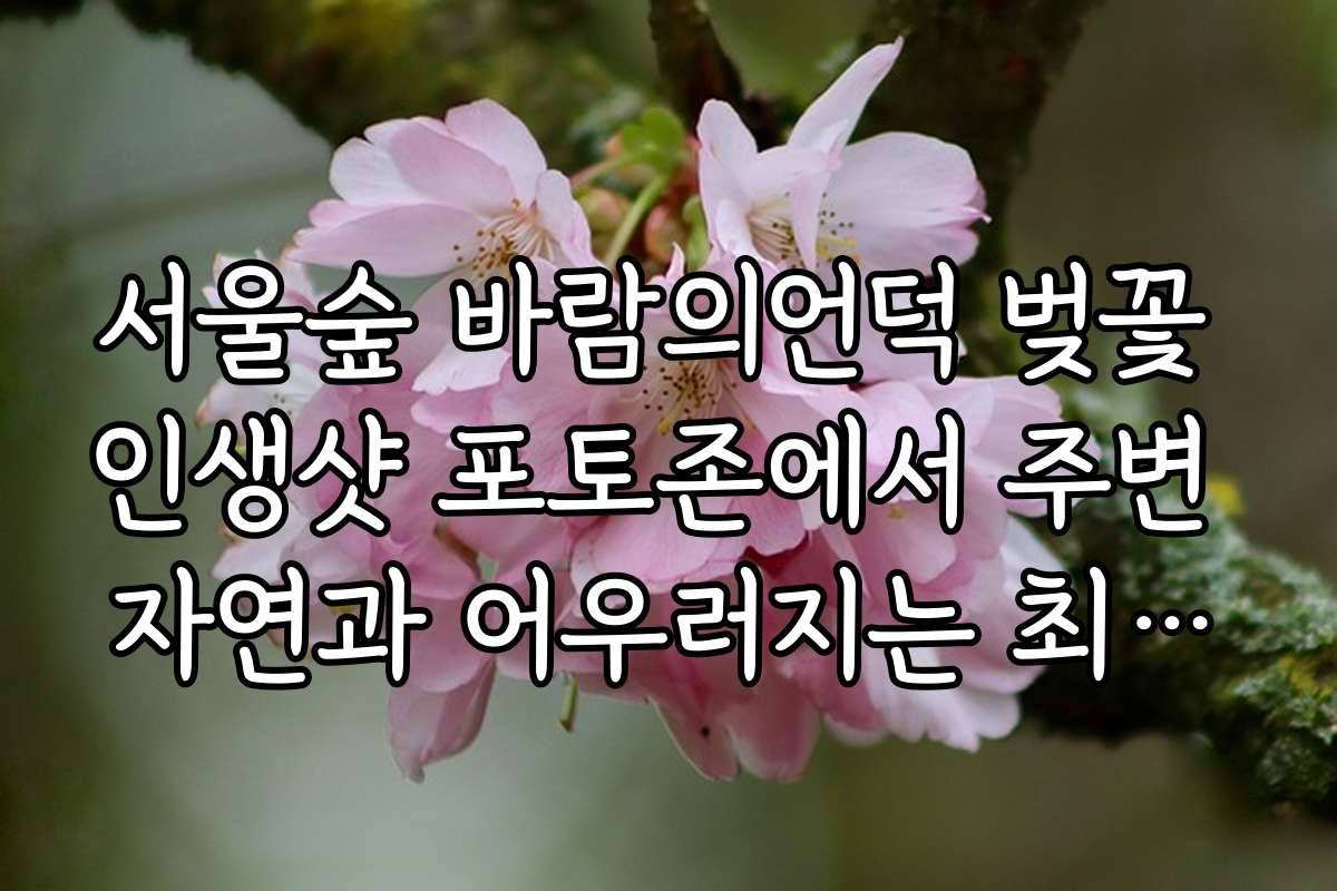 서울숲 바람의언덕 벚꽃 인생샷 포토존에서 주변 자연과 어우러지는 최고의 촬영 배경 찾기