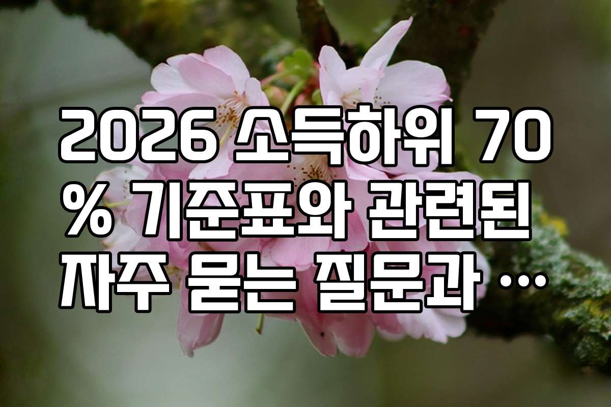 2026 소득하위 70% 기준표와 관련된 자주 묻는 질문과 전문가의 답변