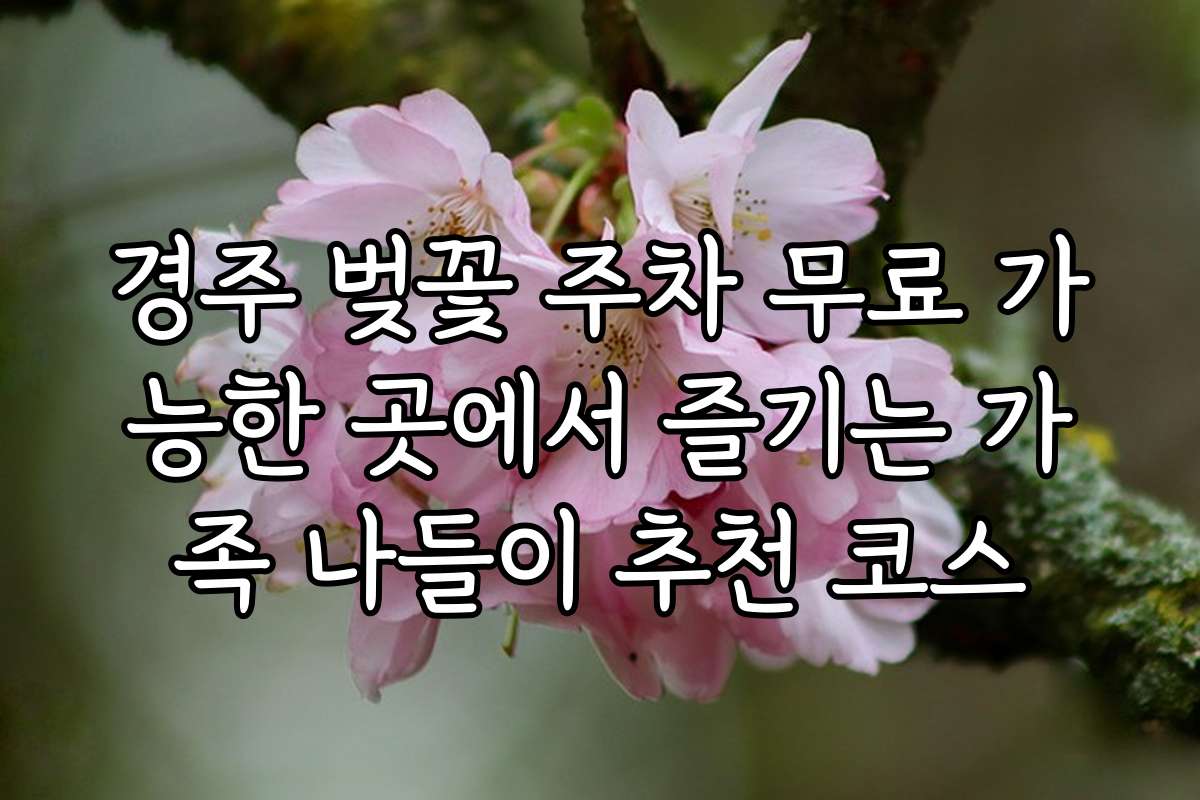 경주 벚꽃 주차 무료 가능한 곳에서 즐기는 가족 나들이 추천 코스