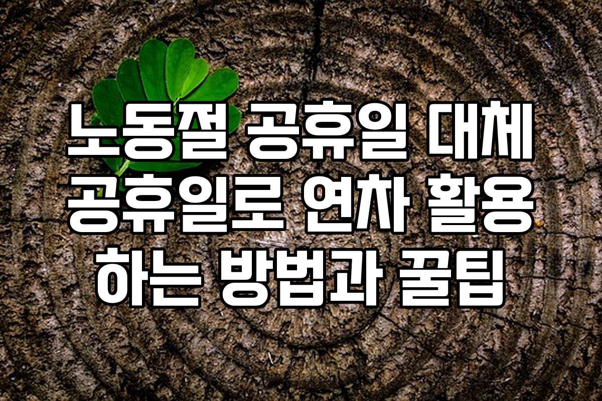 노동절 공휴일 대체공휴일로 연차 활용하는 방법과 꿀팁