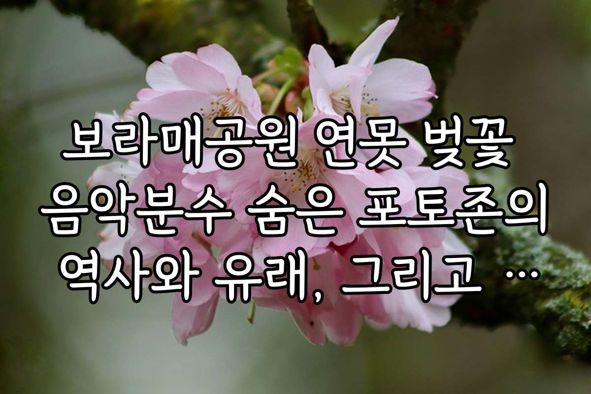 보라매공원 연못 벚꽃 음악분수 숨은 포토존의 역사와 유래, 그리고 인기 있는 촬영 포인트 소개