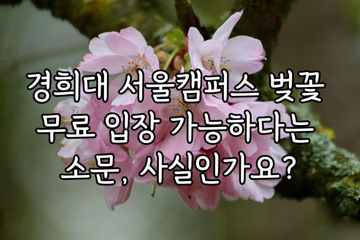 경희대 서울캠퍼스 벚꽃 무료 입장 가능하다는 소문, 사실인가요?
