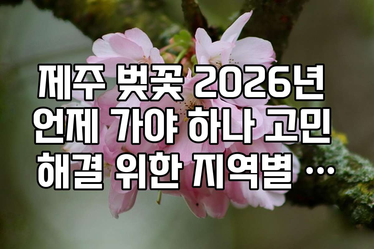 제주 벚꽃 2026년 언제 가야 하나 고민 해결 위한 지역별 만개일