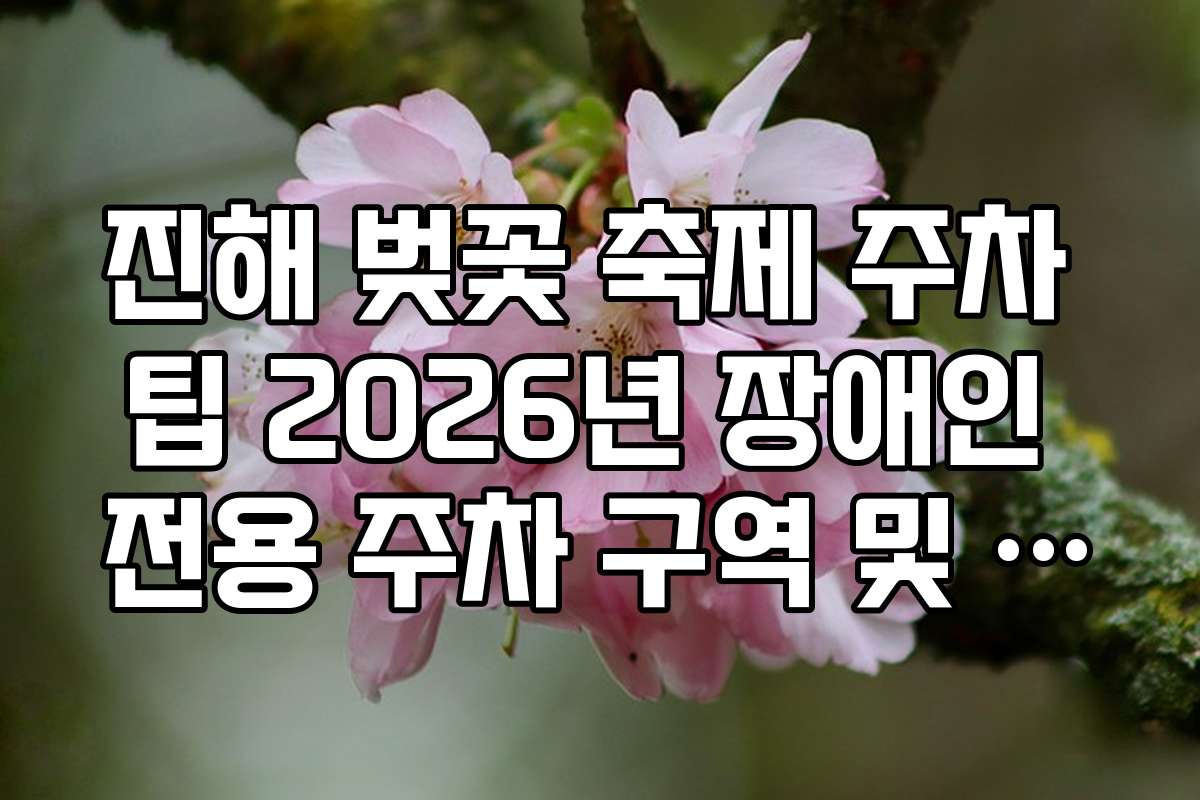 진해 벚꽃 축제 주차 팁 2026년 장애인 전용 주차 구역 및 편의시설