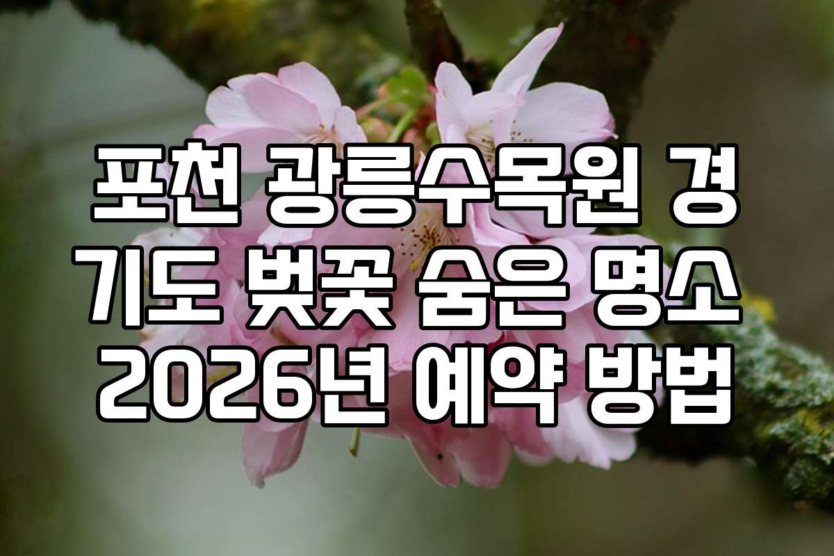 포천 광릉수목원 경기도 벚꽃 숨은 명소 2026년 예약 방법