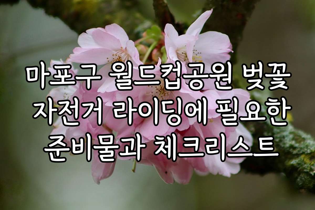 마포구 월드컵공원 벚꽃 자전거 라이딩에 필요한 준비물과 체크리스트