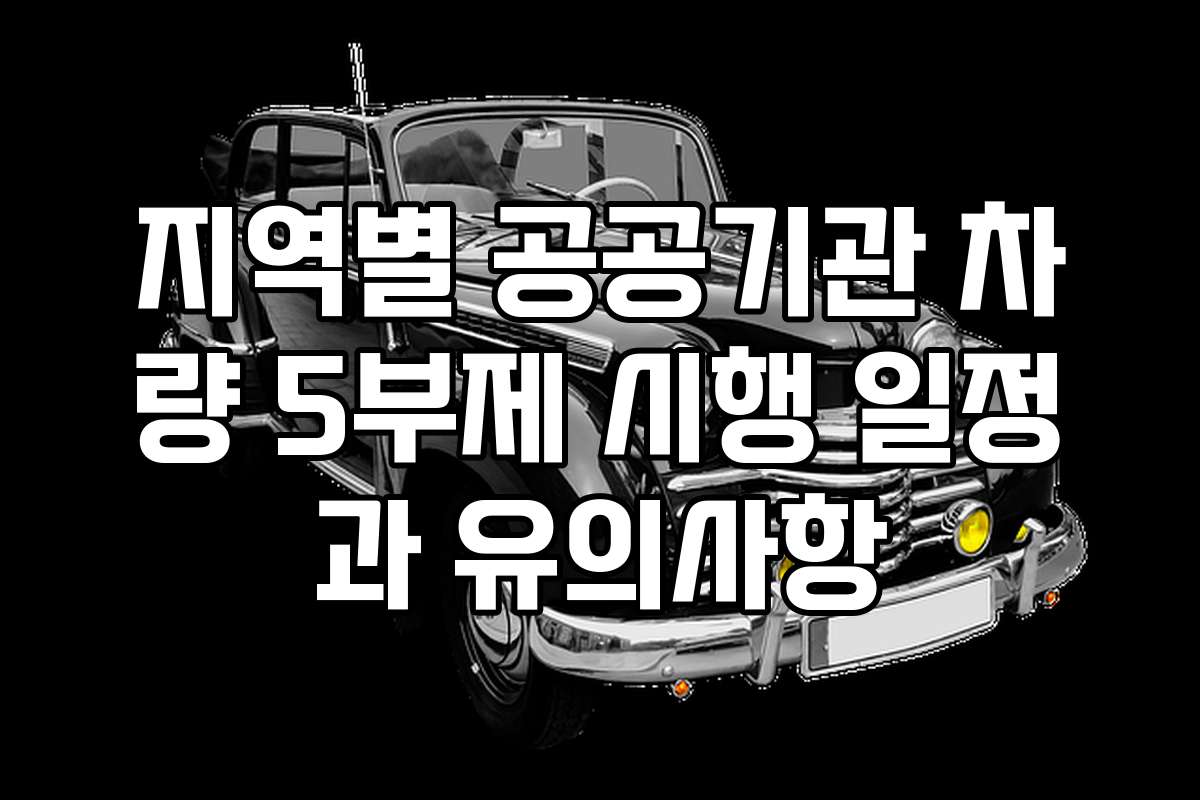 지역별 공공기관 차량 5부제 시행 일정과 유의사항
