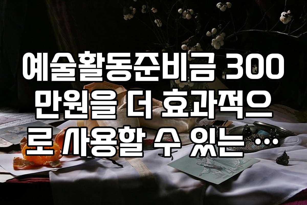 예술활동준비금 300만원을 더 효과적으로 사용할 수 있는 추천 아이템과 도구