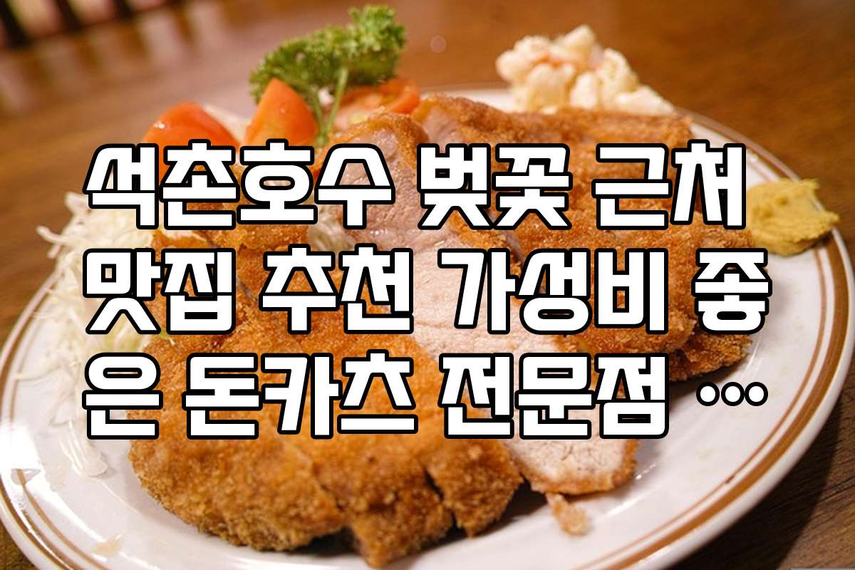 석촌호수 벚꽃 근처 맛집 추천 가성비 좋은 돈카츠 전문점 3선