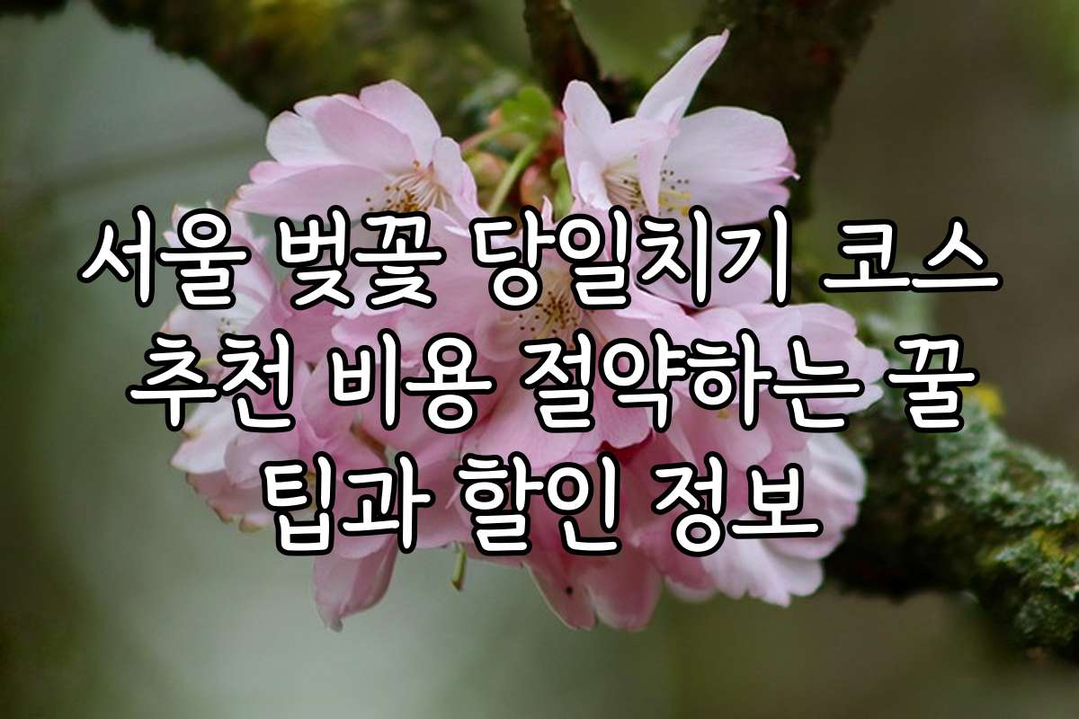 서울 벚꽃 당일치기 코스 추천 비용 절약하는 꿀팁과 할인 정보