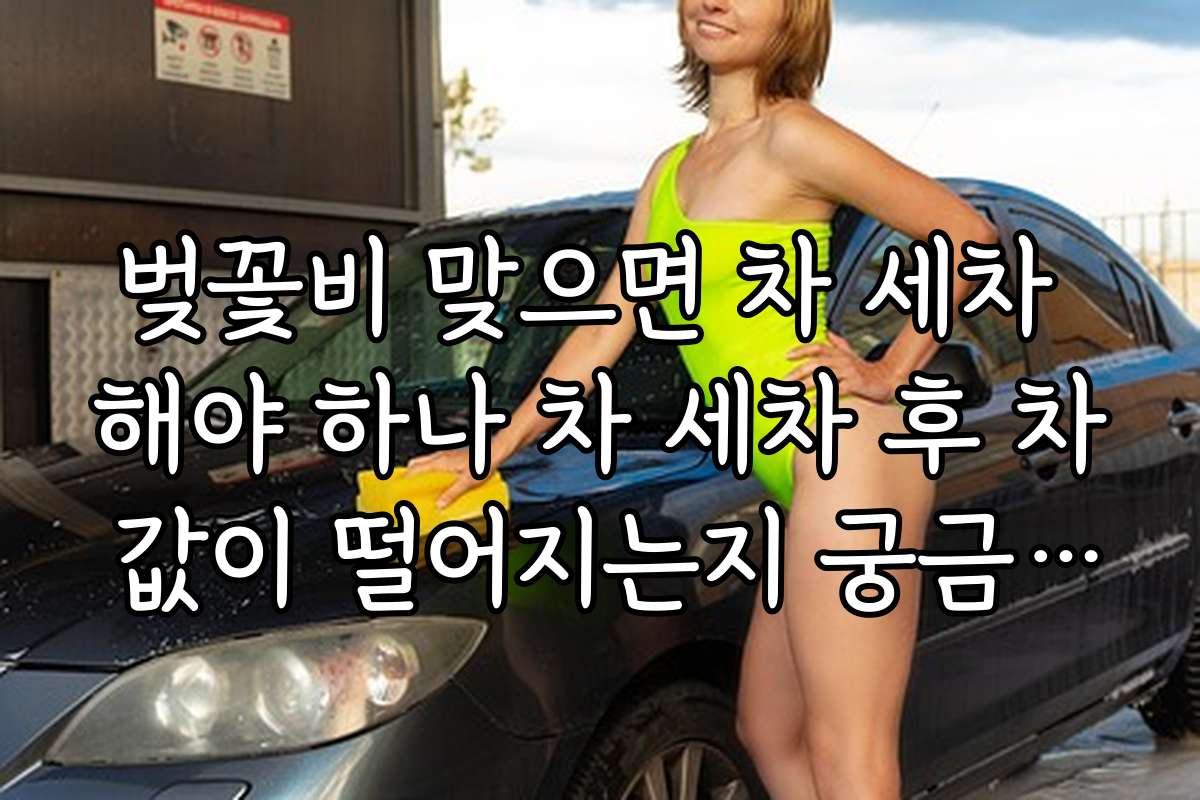 벚꽃비 맞으면 차 세차 해야 하나 차 세차 후 차 값이 떨어지는지 궁금해요