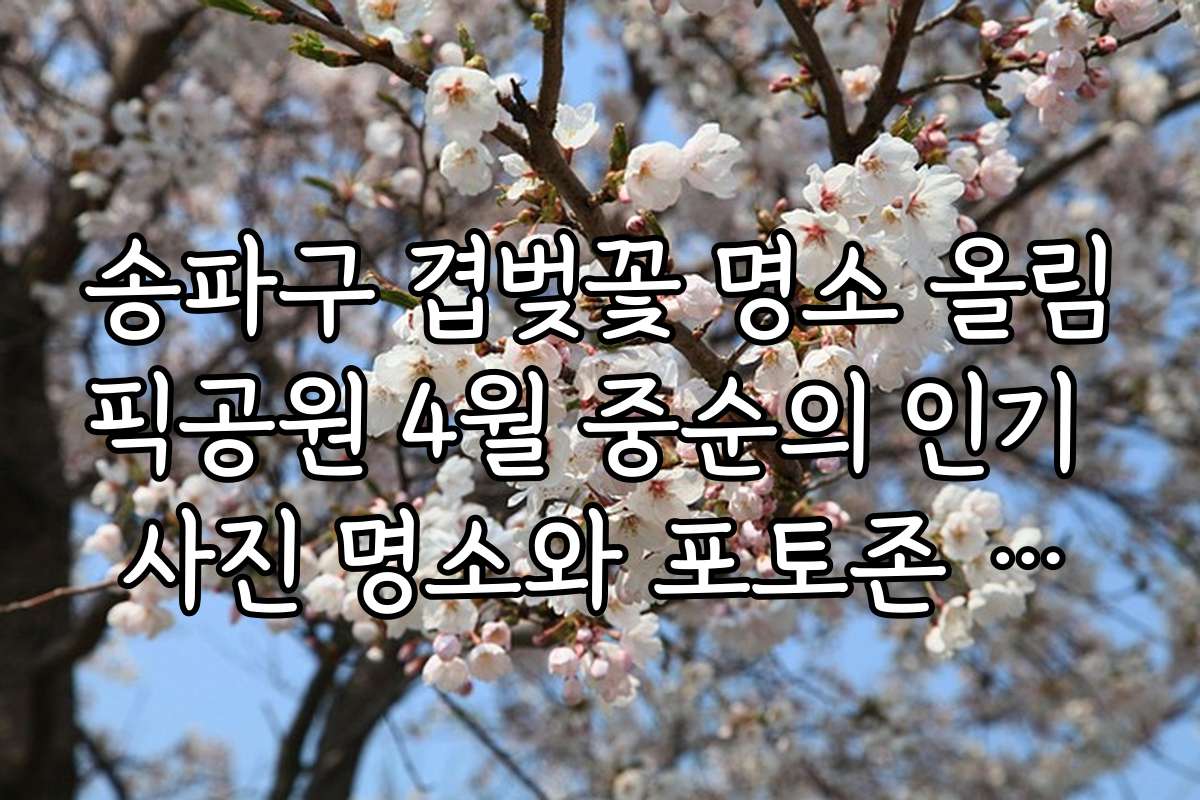 송파구 겹벚꽃 명소 올림픽공원 4월 중순의 인기 사진 명소와 포토존 추천