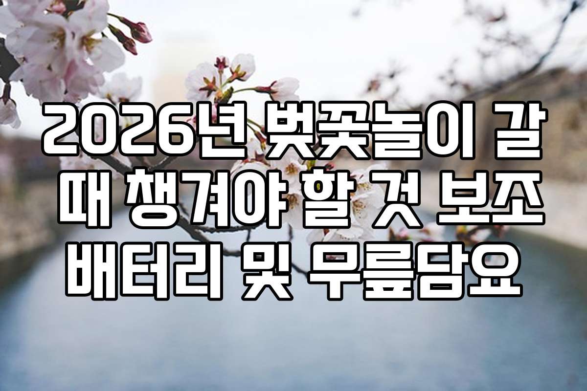2026년 벚꽃놀이 갈 때 챙겨야 할 것 보조배터리 및 무릎담요