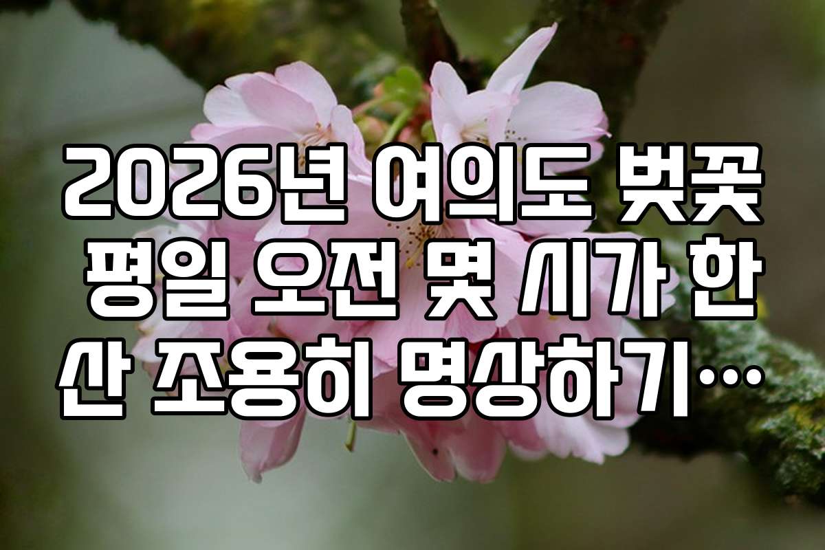 2026년 여의도 벚꽃 평일 오전 몇 시가 한산 조용히 명상하기 좋은 곳