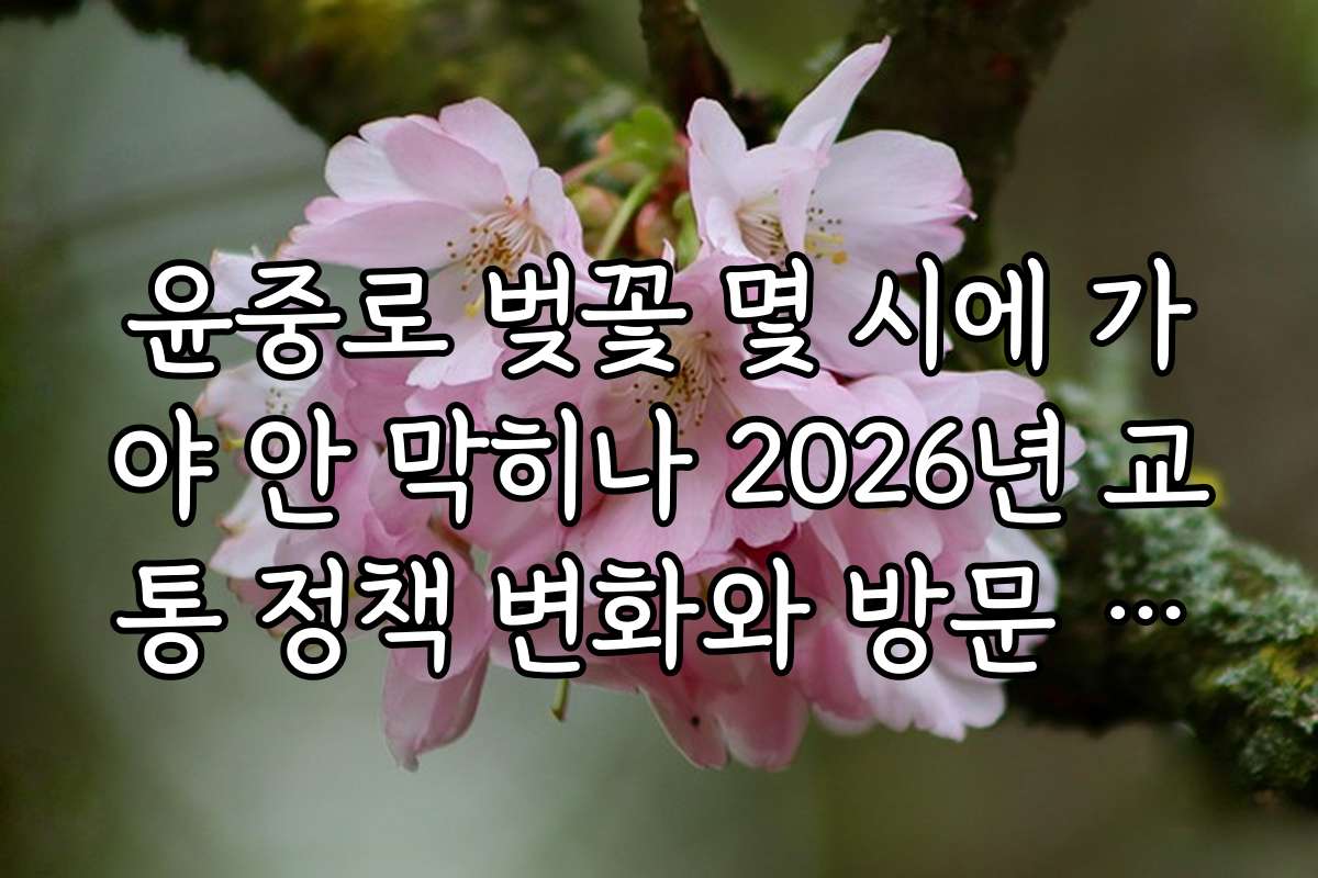 윤중로 벚꽃 몇 시에 가야 안 막히나 2026년 교통 정책 변화와 방문 시간에 미치는 영향