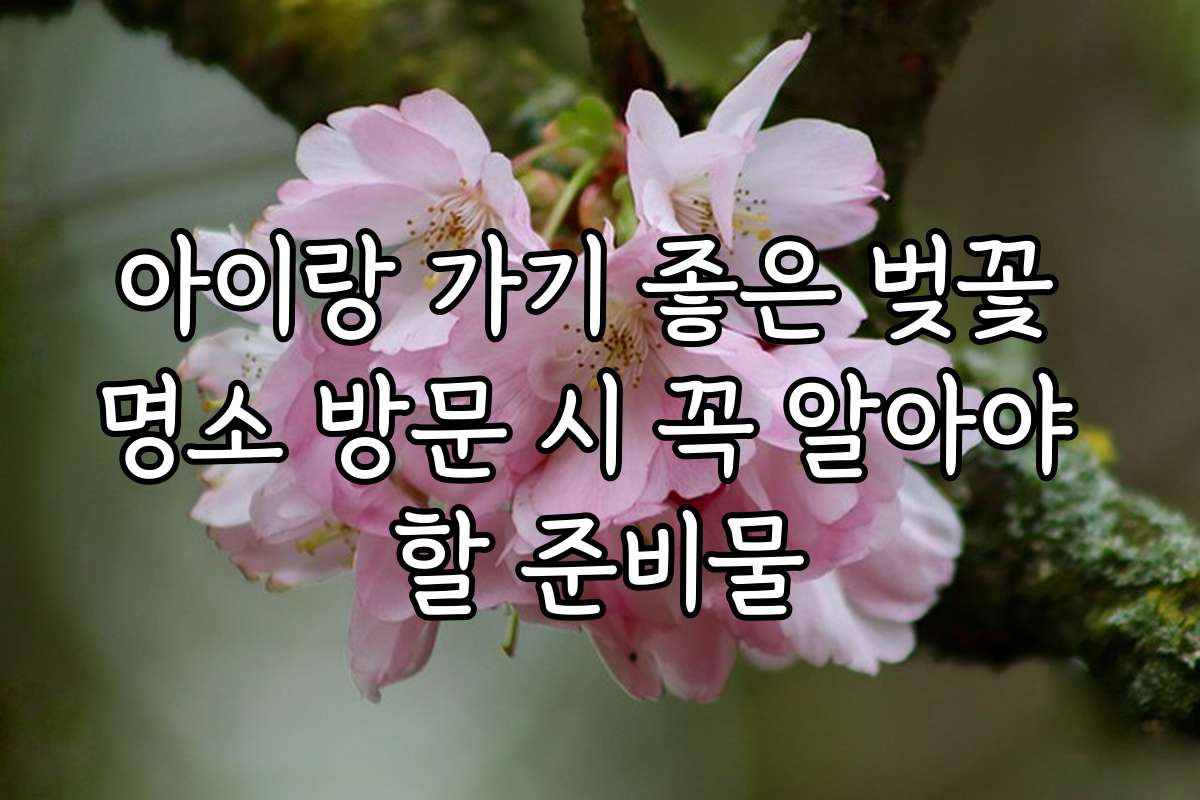아이랑 가기 좋은 벚꽃 명소 방문 시 꼭 알아야 할 준비물