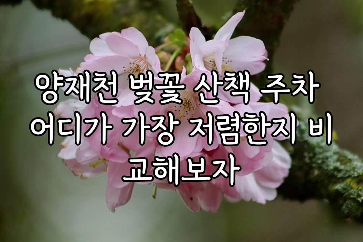 양재천 벚꽃 산책 주차 어디가 가장 저렴한지 비교해보자