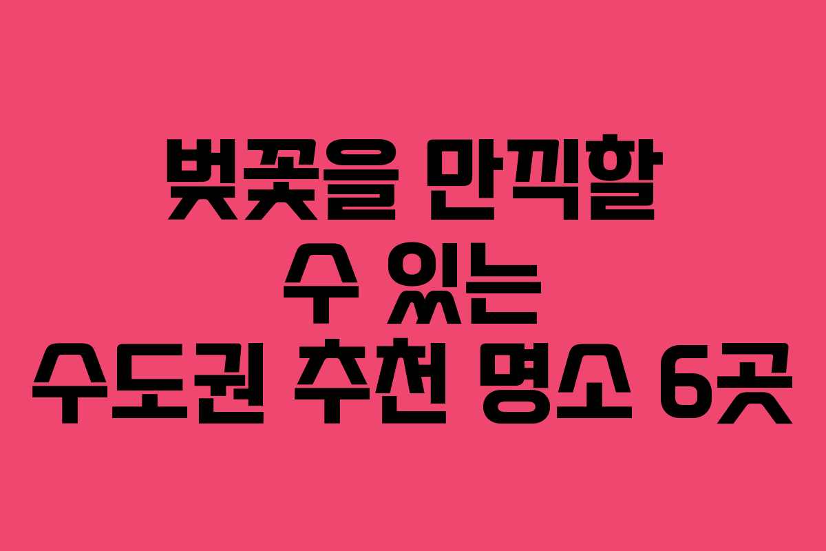 벚꽃을 만끽할 수 있는 수도권 추천 명소 6곳