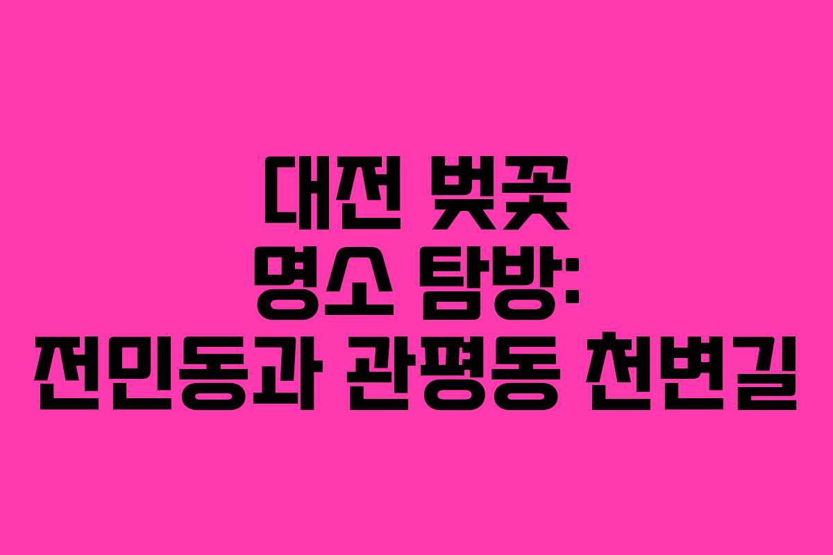 대전 벚꽃 명소 탐방: 전민동과 관평동 천변길