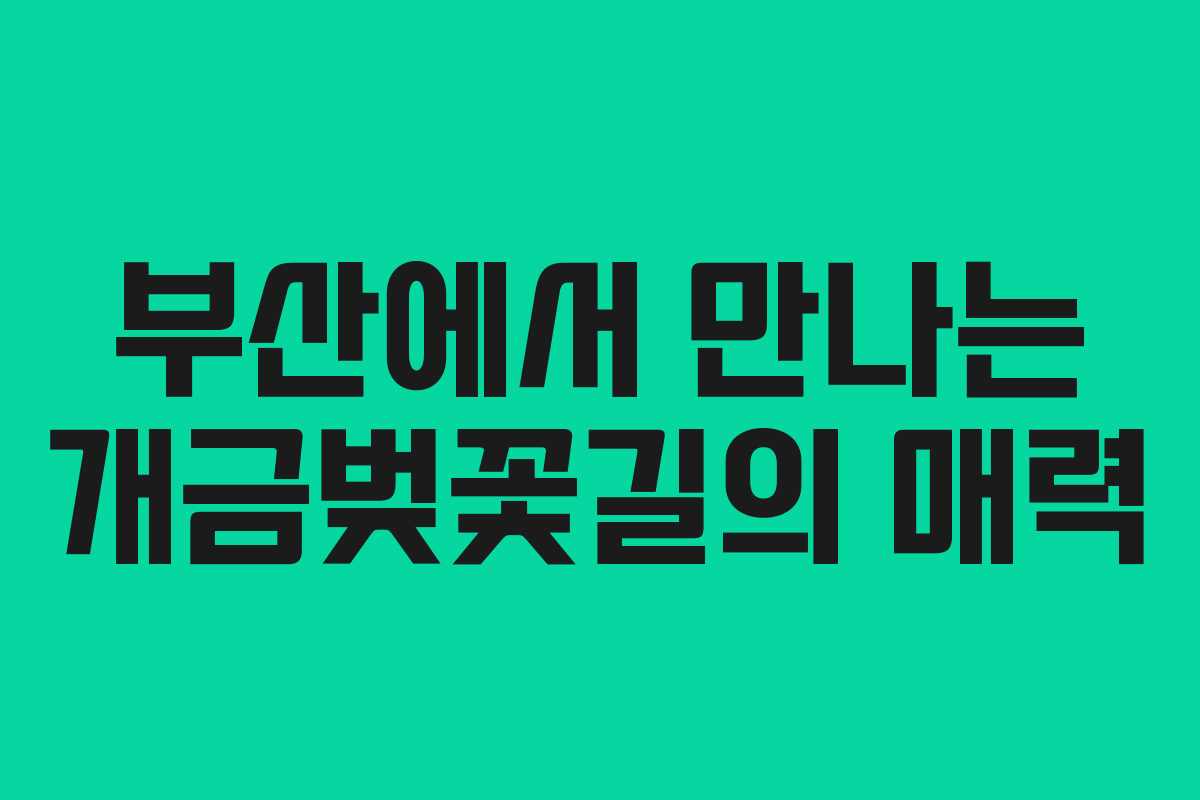 부산에서 만나는 개금벚꽃길의 매력