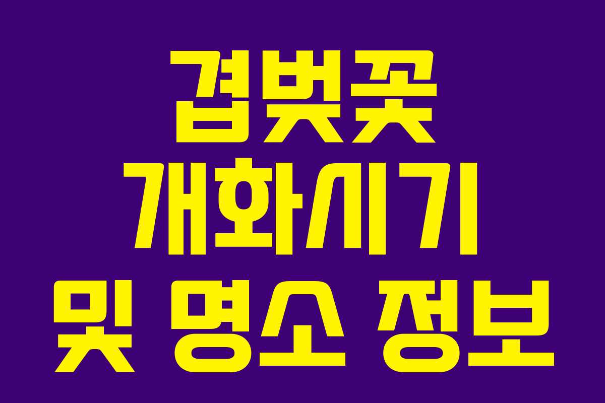 겹벚꽃 개화시기 및 명소 정보