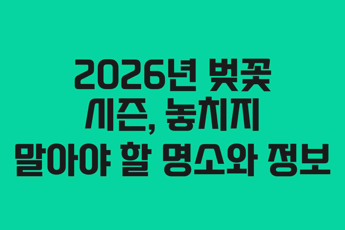 2026년 벚꽃 시즌, 놓치지 말아야 할 명소와 정보