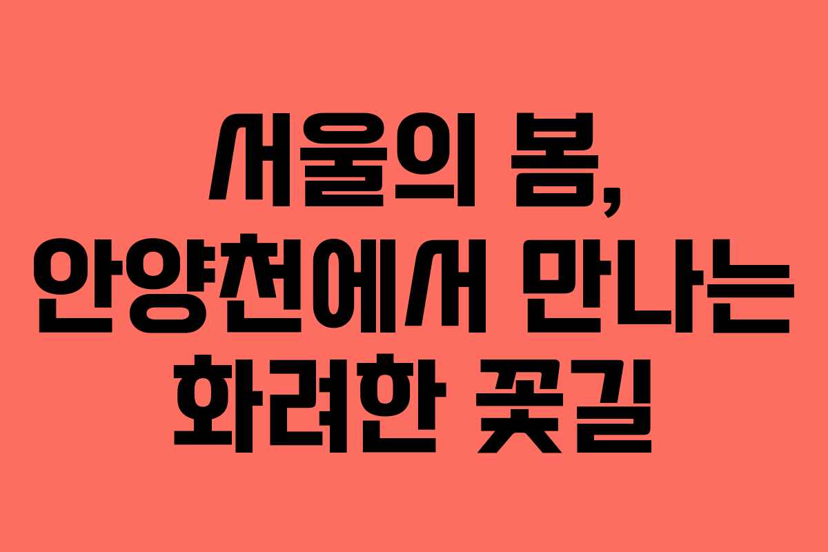 서울의 봄, 안양천에서 만나는 화려한 꽃길