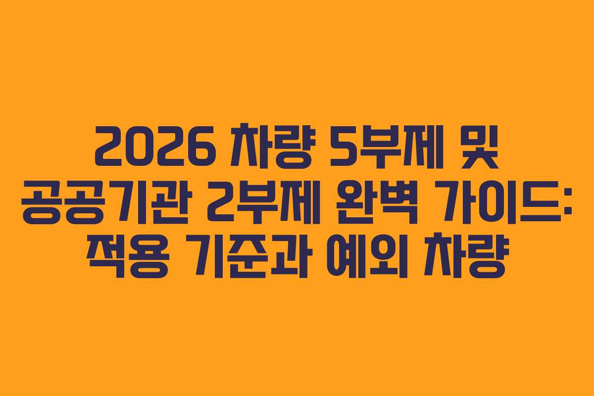2026 차량 5부제 및 공공기관 2부제 완벽 가이드: 적용 기준과 예외 차량