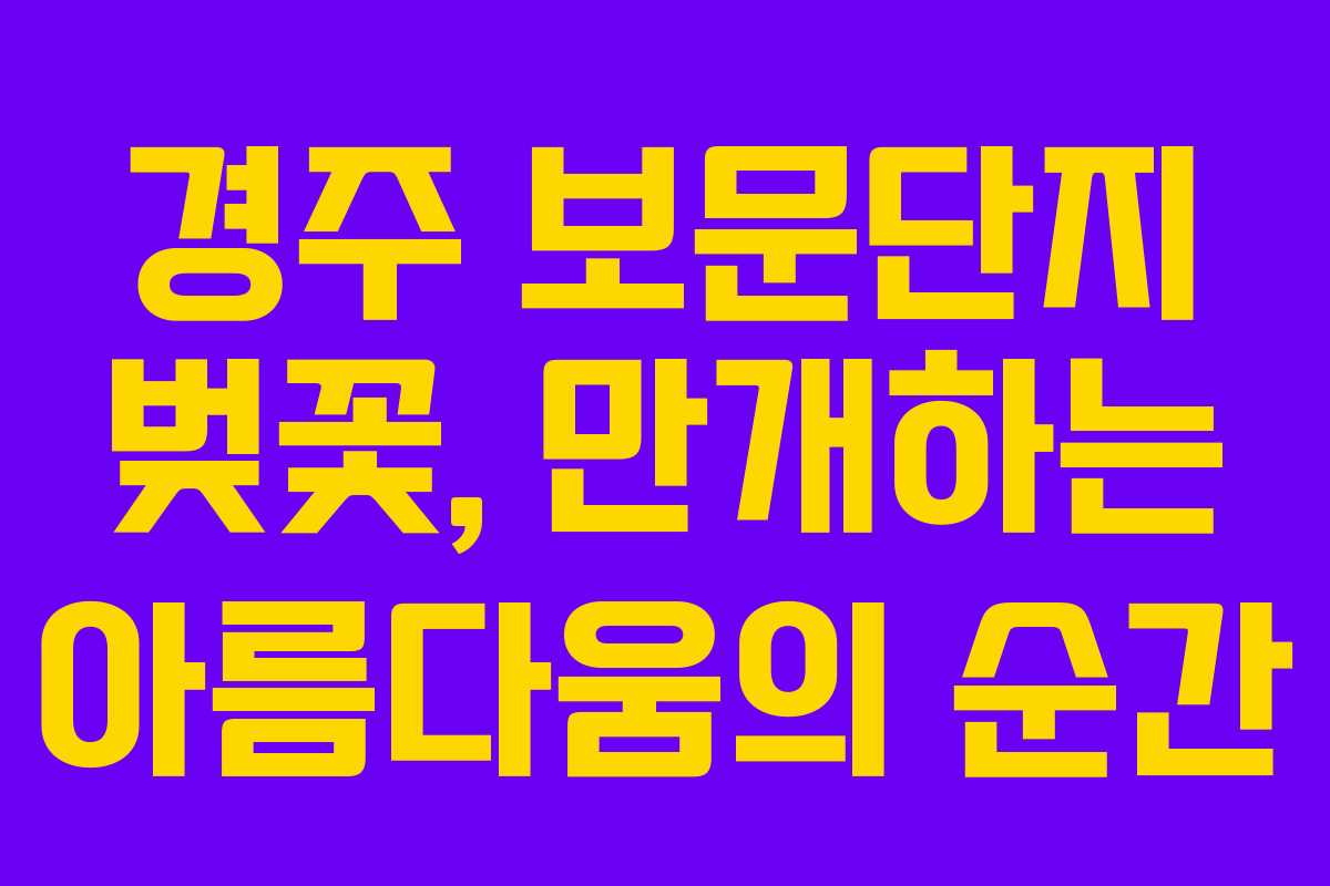 경주 보문단지 벚꽃, 만개하는 아름다움의 순간