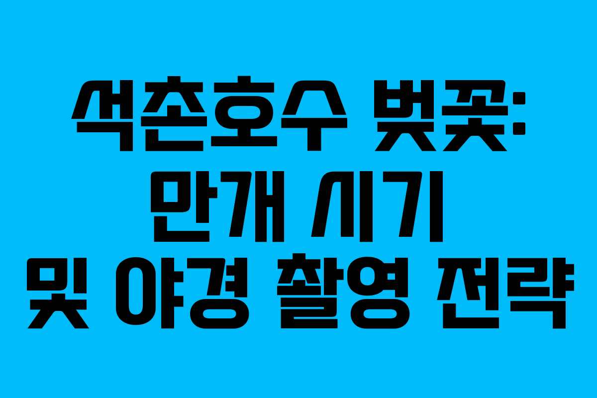 석촌호수 벚꽃: 만개 시기 및 야경 촬영 전략