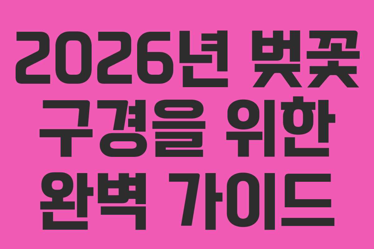 2026년 벚꽃 구경을 위한 완벽 가이드