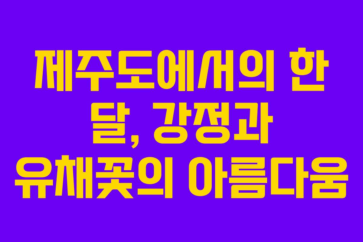제주도에서의 한 달, 강정과 유채꽃의 아름다움