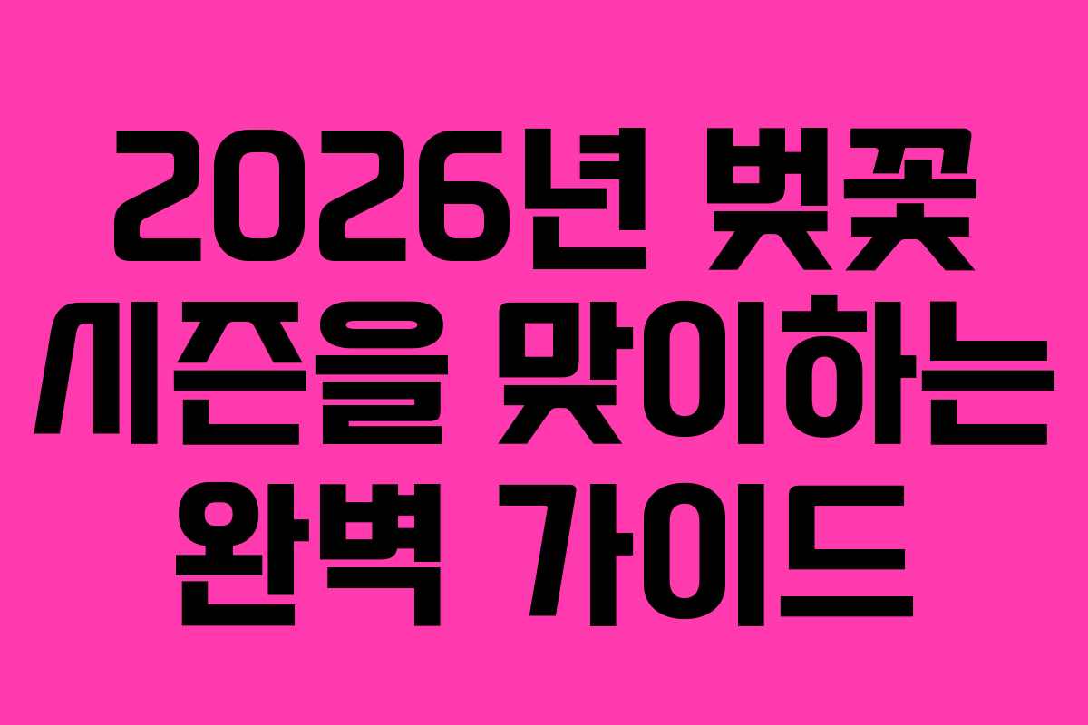 2026년 벚꽃 시즌을 맞이하는 완벽 가이드