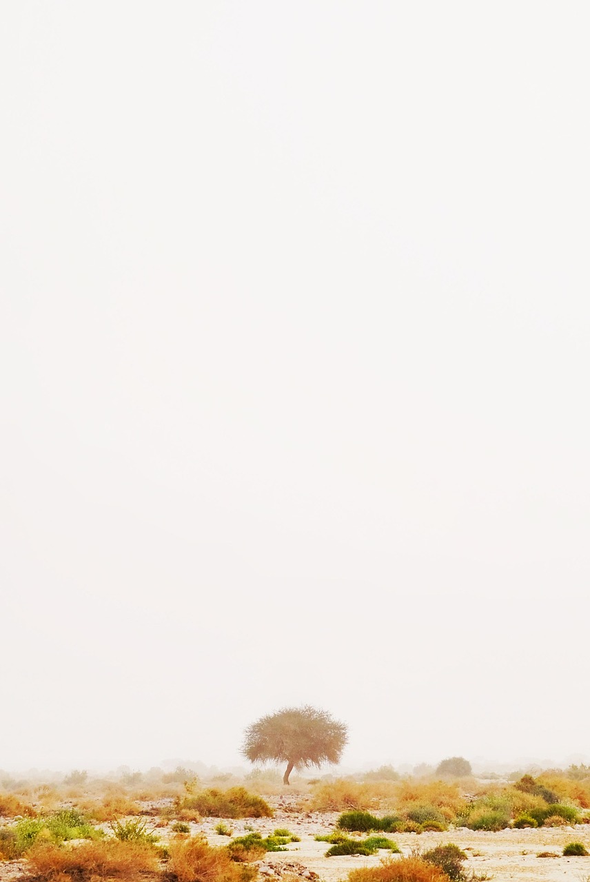 차량 5부제와 2부제의 모든 것: 적용 대상과 불이익을 알아보자