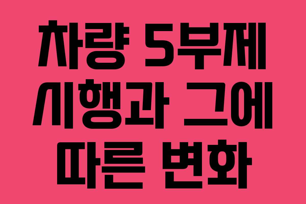차량 5부제 시행과 그에 따른 변화