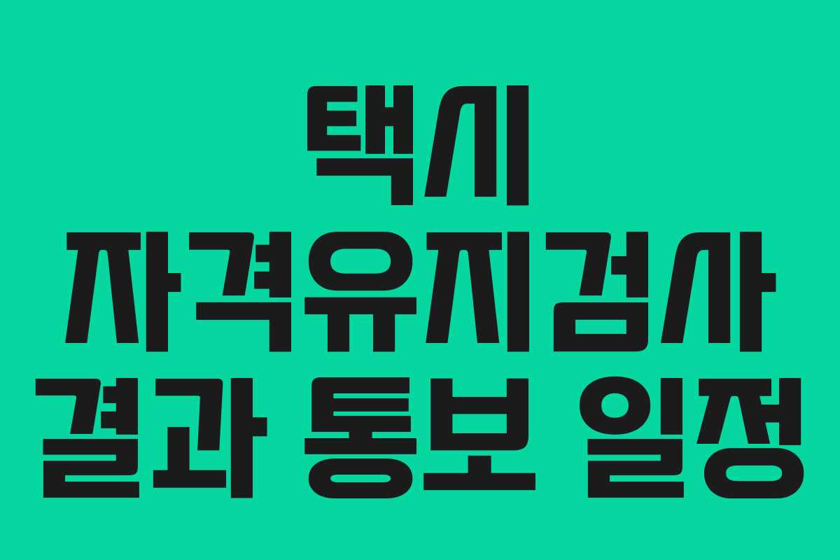 택시 자격유지검사 결과 통보 일정